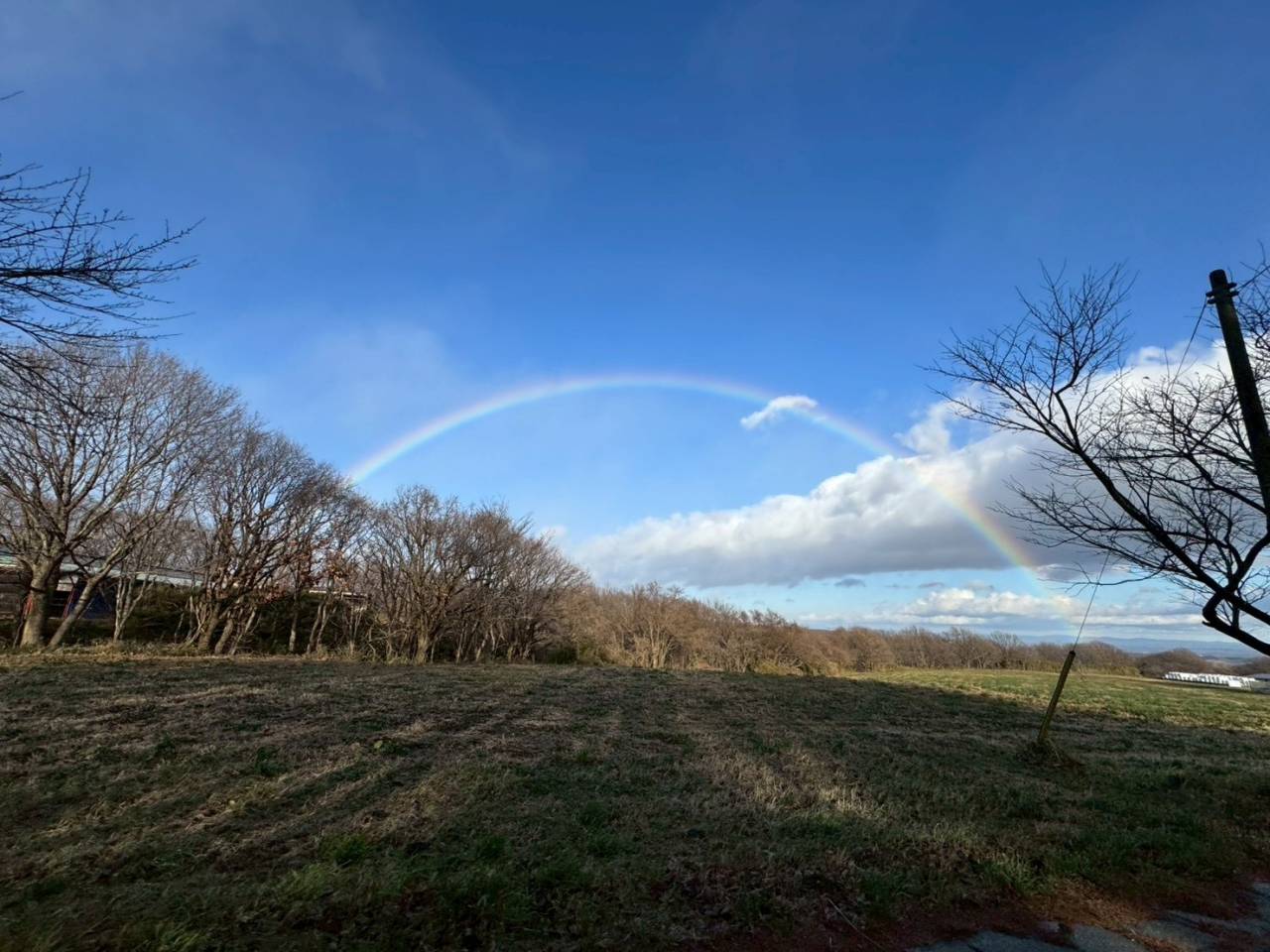 明けましておめでとうございます